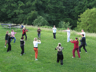 Bild 873